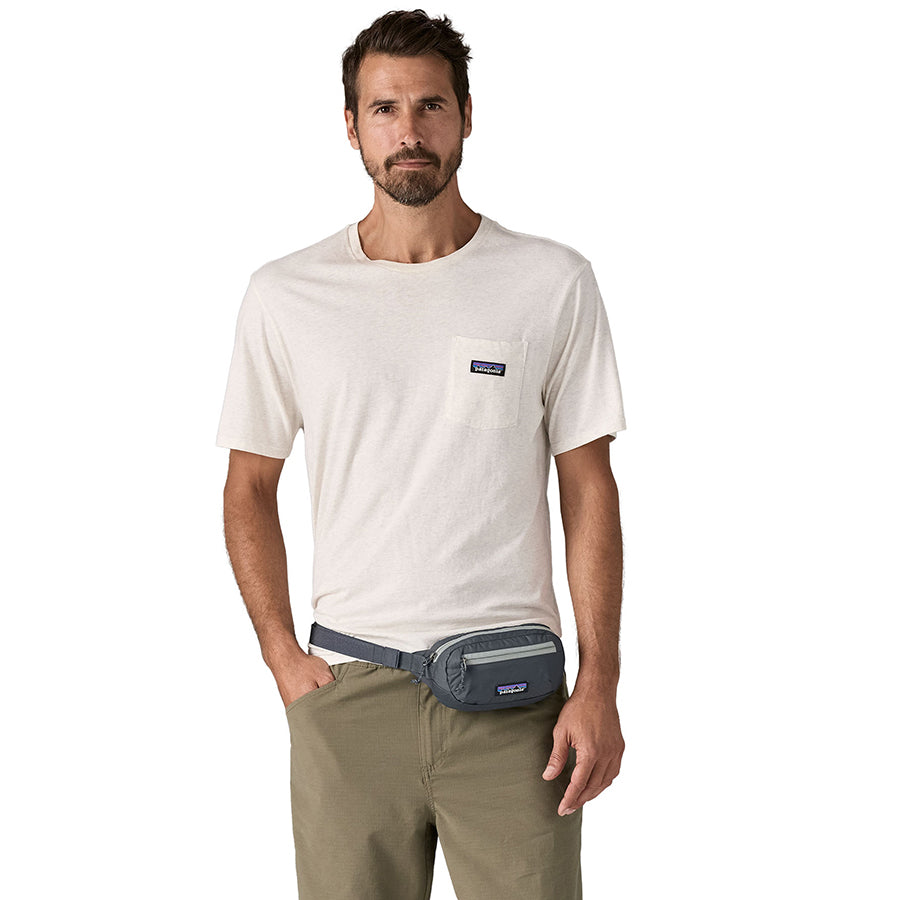 patagonia(パタゴニア)テラヴィア・ミニ・ヒップ・パック 1L 49448