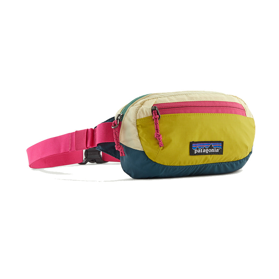 patagonia(パタゴニア)テラヴィア・ミニ・ヒップ・パック 1L 49448