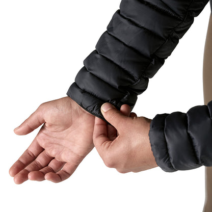 patagonia（パタゴニア）ウィメンズ・ダウン・セーター・フーディ 84712